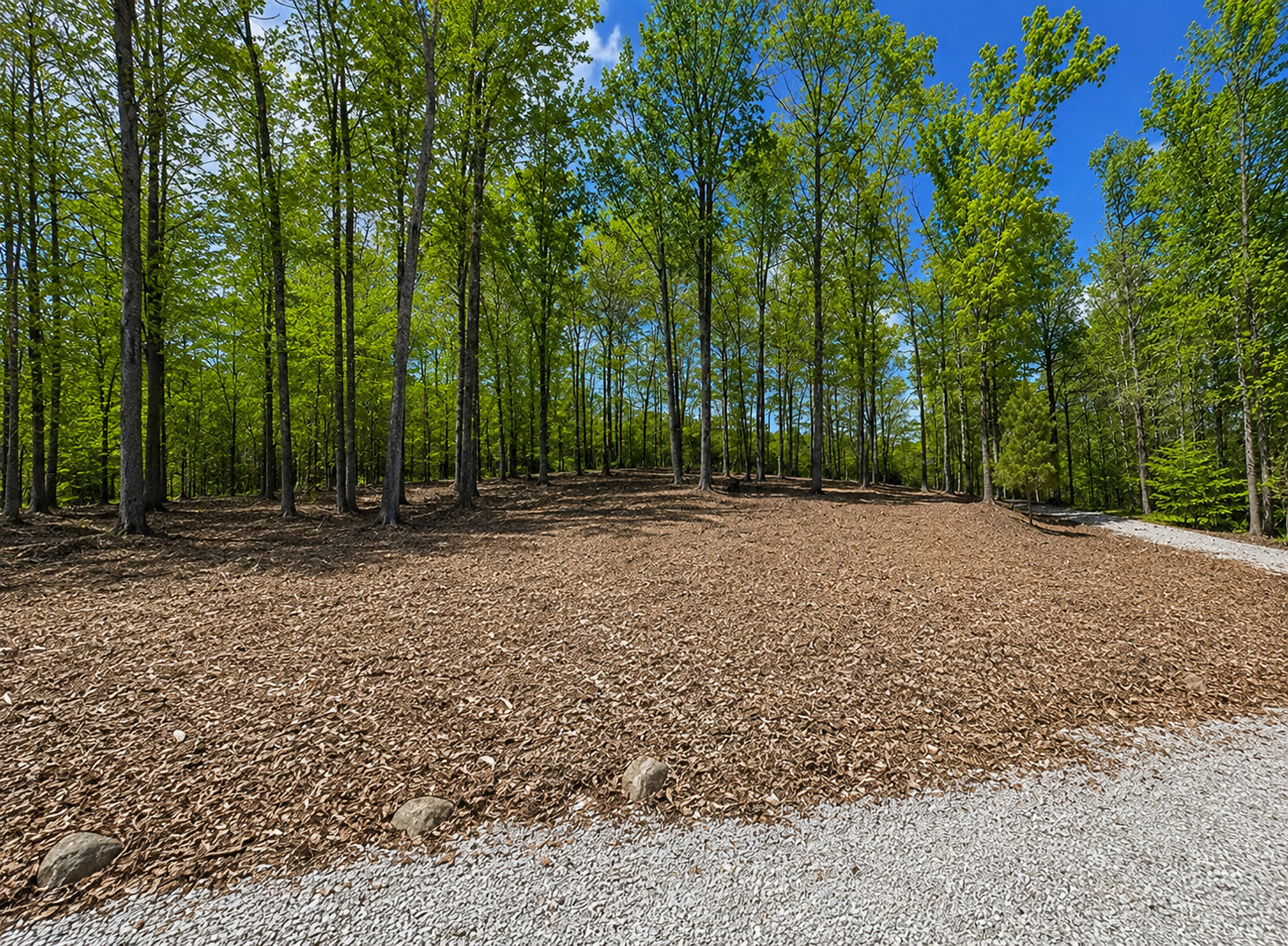 After: Clean, usable land