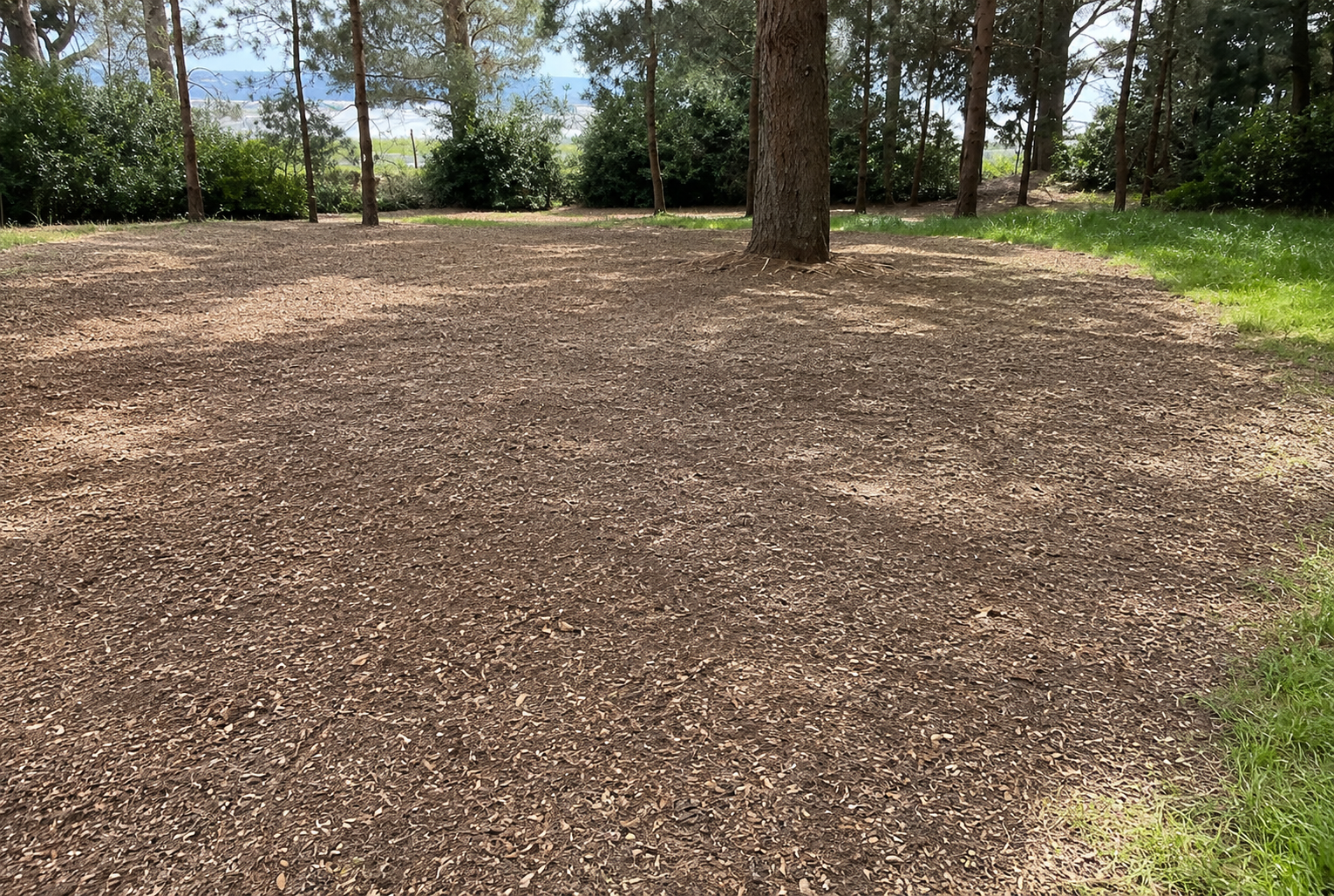 After: Cleared, usable ground