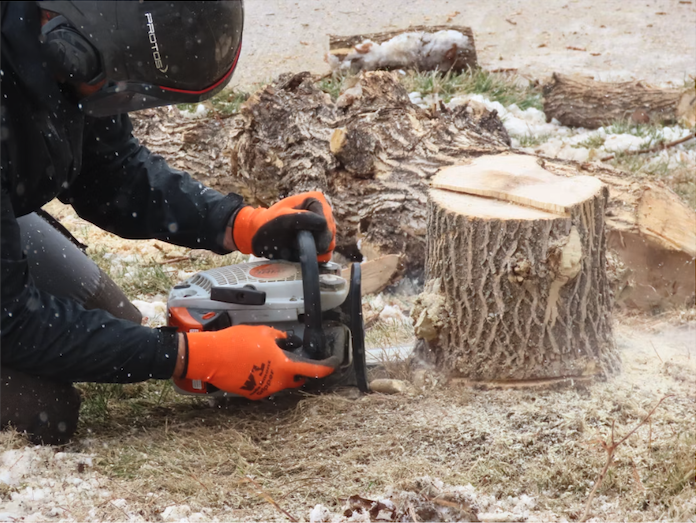 Stump grinding in Louisville, KY ground below grade